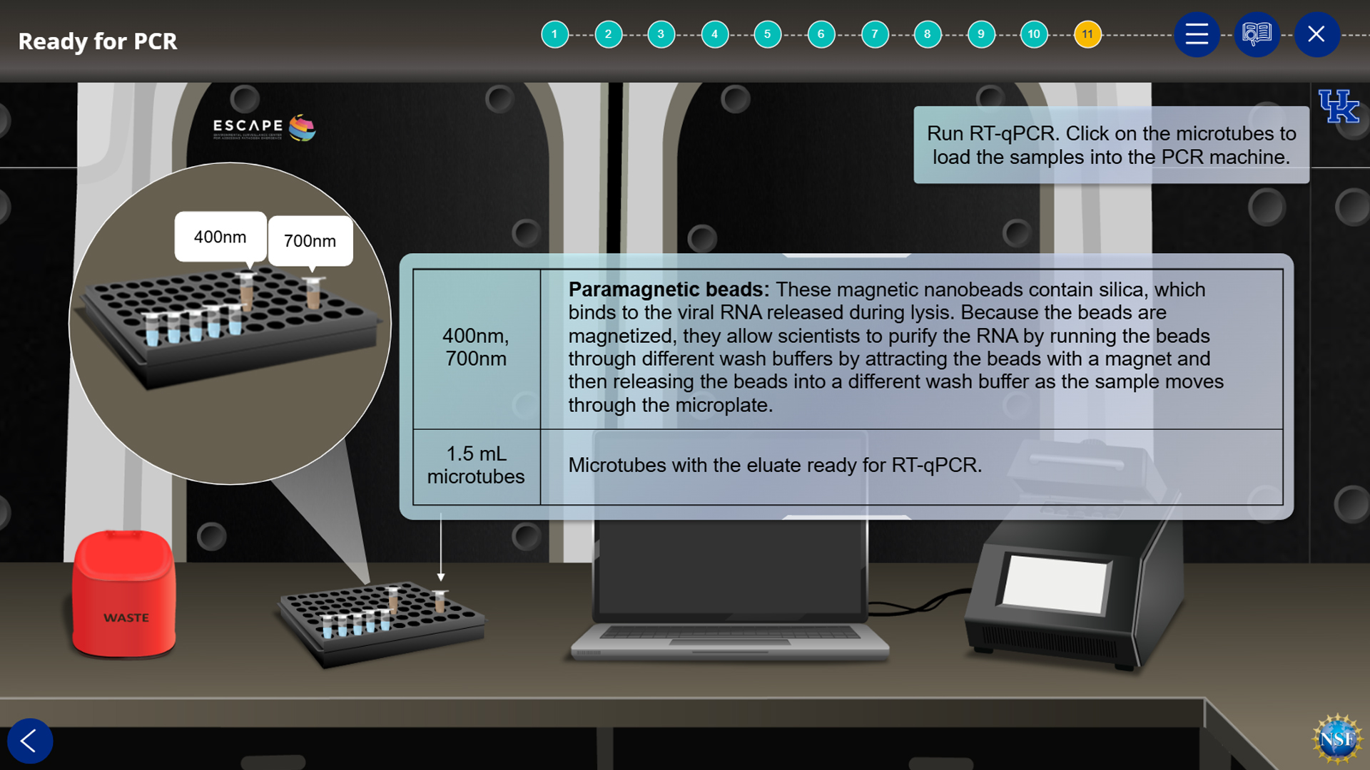 A screen from step 10 of the simulation showing how to load samples into the PCR machine.